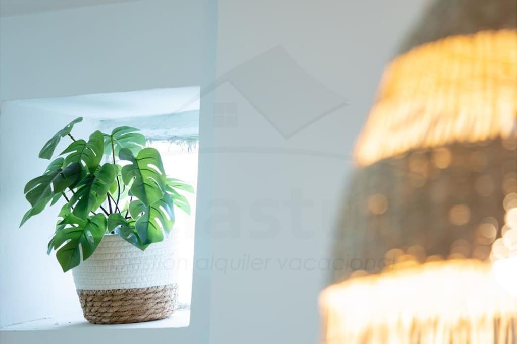 Camino By Silastur Apartment Gijon